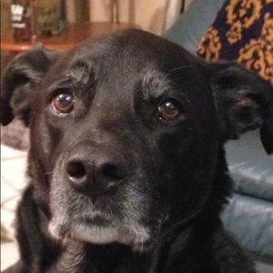 Meet your Posher, Kelli